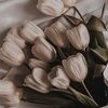 everydayluxe_